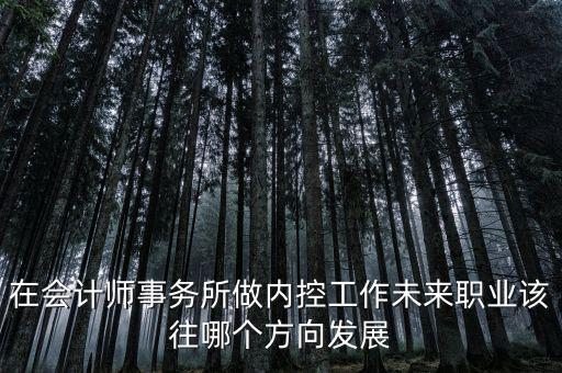 稅務(wù)內(nèi)控工作如何，如何搞好稅務(wù)所管理員內(nèi)控機(jī)制建設(shè)