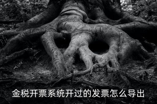 金稅開(kāi)票系統(tǒng)開(kāi)過(guò)的發(fā)票怎么導(dǎo)出