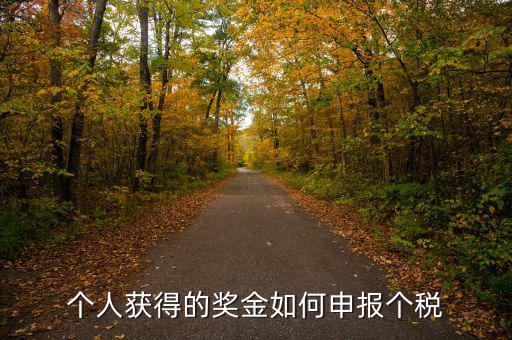 如何將獎金的稅款繳納至稅務局，個人獲得的獎金如何申報個稅
