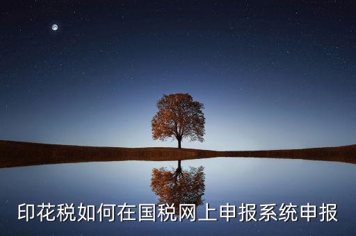 如何在網(wǎng)上申報安徽印花稅，如何在網(wǎng)上進(jìn)行印花稅的申報和繳納