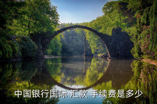 從柜臺(tái)匯款手續(xù)費(fèi)怎么算,中國(guó)大陸新加坡元人民幣匯款
