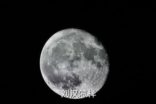 劉漢資產(chǎn)怎么處理,劉漢，四川漢龍集團(tuán)原董事長