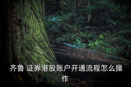  齊魯 證券港股賬戶(hù)開(kāi)通流程怎么操作