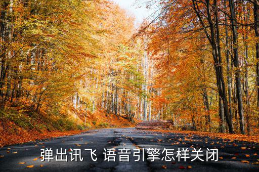 彈出訊飛 語音引擎怎樣關閉