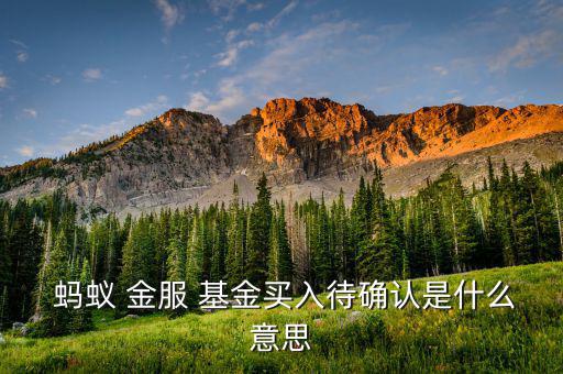 螞蟻金服怎的基金怎么買(mǎi)賣,投資基金時(shí)不要貪圖基金有便宜凈值