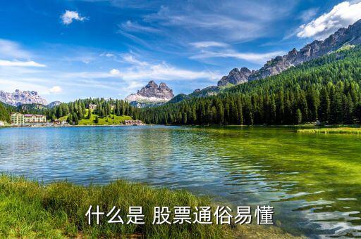 怎么懂股票,股票基礎(chǔ)、股票定投、投資書籍等資源免費下載