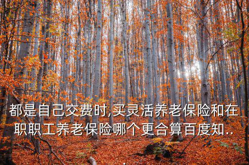 都是自己交費(fèi)時(shí),買靈活養(yǎng)老保險(xiǎn)和在職職工養(yǎng)老保險(xiǎn)哪個(gè)更合算百度知...