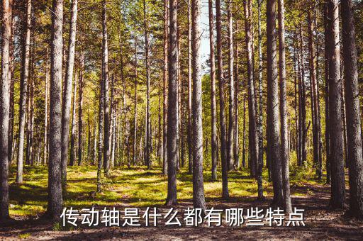  傳動(dòng)軸是什么都有哪些特點(diǎn)