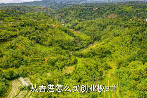 從香港怎么買(mǎi)創(chuàng)業(yè)板e(cuò)tf
