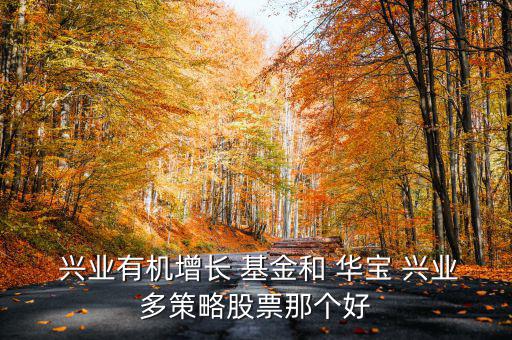  興業(yè)有機增長 基金和 華寶 興業(yè)多策略股票那個好