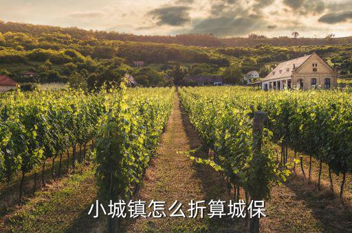 小城鎮(zhèn)怎么構成,15年小城鎮(zhèn)不能轉為城鎮(zhèn)保險?