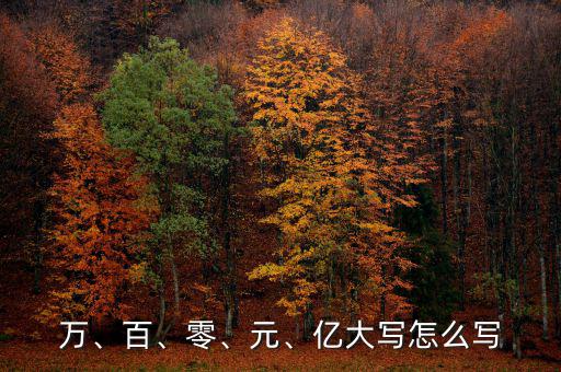 萬、百、零、元、億大寫怎么寫