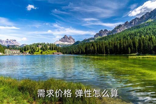 短期價格彈性怎么求,價格和需求反向變化需求價格彈性是負(fù)數(shù)