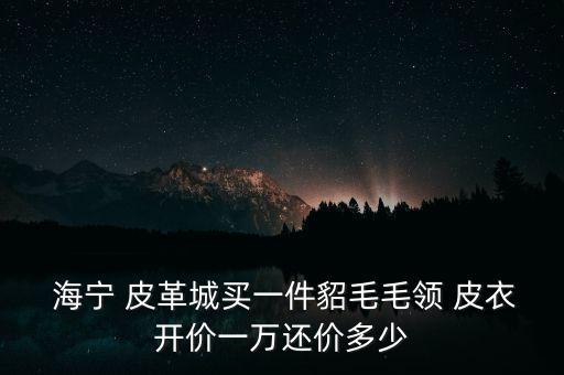  海寧 皮革城買一件貂毛毛領(lǐng) 皮衣開價(jià)一萬(wàn)還價(jià)多少