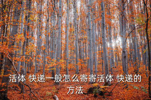 快遞怎么寄活物,寵物托運(yùn)注意事項寵物店做疫苗航空公司不認(rèn)可
