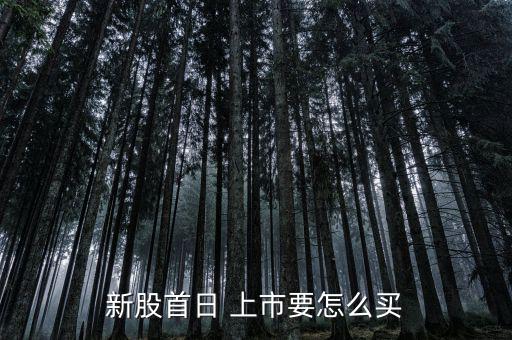 新股首日 上市要怎么買(mǎi)