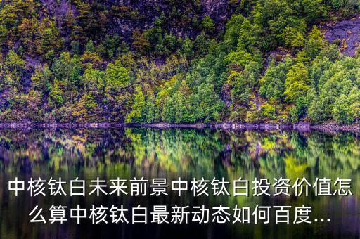 中核鈦白未來(lái)前景中核鈦白投資價(jià)值怎么算中核鈦白最新動(dòng)態(tài)如何百度...