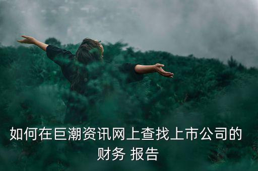 怎么找到藝龍旅行網的財務報告,點擊進入巨潮資訊網即可瀏覽