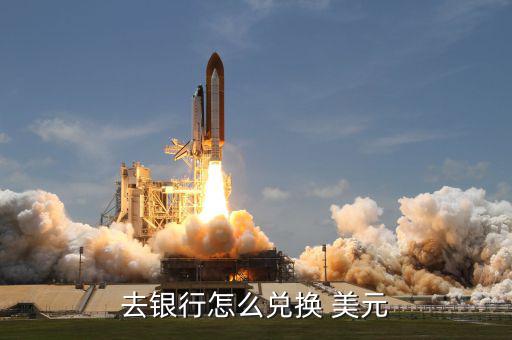 怎么換美元保值,從銀行網上兌換美元流程