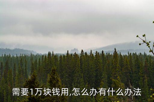 需要1萬(wàn)塊錢(qián)用,怎么辦有什么辦法
