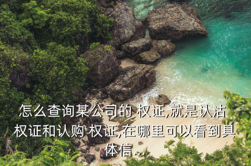 怎么查詢某公司的 權(quán)證,就是認(rèn)沽 權(quán)證和認(rèn)購(gòu) 權(quán)證,在哪里可以看到具體信...