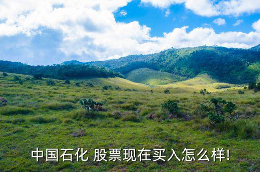中國(guó)石化 股票現(xiàn)在買入怎么樣!