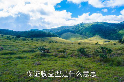保證收益型是什么意思