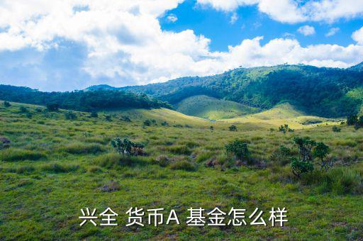  興全 貨幣A 基金怎么樣