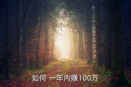 一年掙錢100萬(wàn)怎么掙得,如何從3萬(wàn)起步到100萬(wàn)元人生