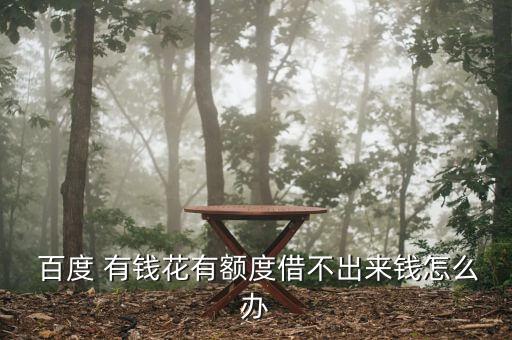 百度有錢(qián)怎么套現(xiàn),百度有錢(qián)華開(kāi)創(chuàng)消費(fèi)信貸創(chuàng)新模式