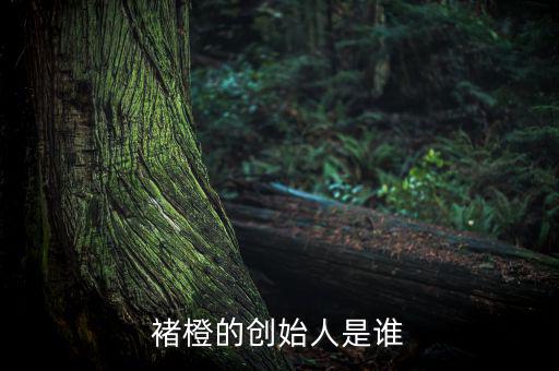褚橙是怎么做地推的,選票熱門人選票區(qū)競(jìng)選廣播