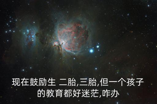 現在鼓勵生 二胎,三胎,但一個孩子的教育都好迷茫,咋辦