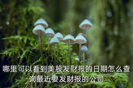哪里可以看到美股發(fā)財(cái)報的日期怎么查詢最近要發(fā)財(cái)報的公司