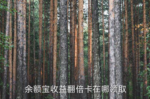 余額寶翻倍卡怎么用,如何進入支付寶錢包?