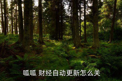  呱呱 財經(jīng)自動更新怎么關(guān)