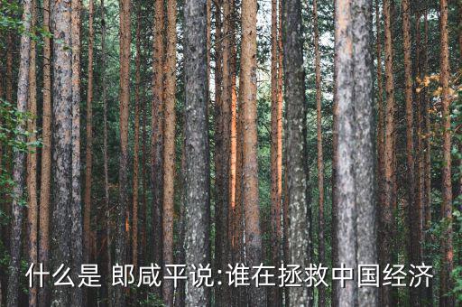 什么是 郎咸平說:誰在拯救中國經濟