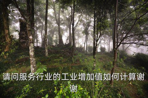 請(qǐng)問服務(wù)行業(yè)的工業(yè)增加值如何計(jì)算謝謝