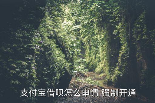  支付寶借唄怎么申請 強(qiáng)制開通