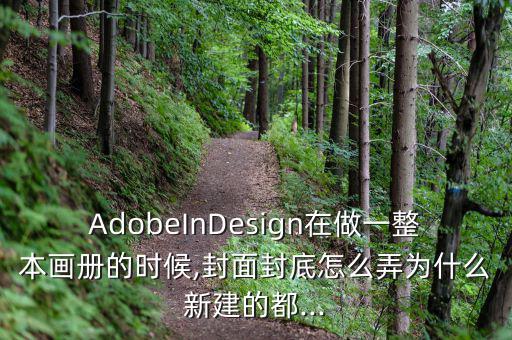 AdobeInDesign在做一整本畫冊的時(shí)候,封面封底怎么弄為什么新建的都...