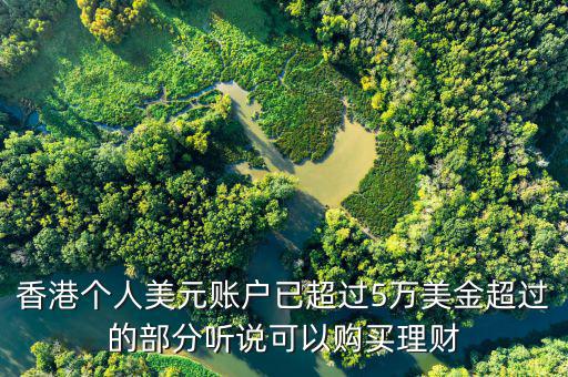 美元在香港投資什么比較好，香港個(gè)人美元賬戶已超過(guò)5萬(wàn)美金超過(guò)的部分聽(tīng)說(shuō)可以購(gòu)買理財(cái)