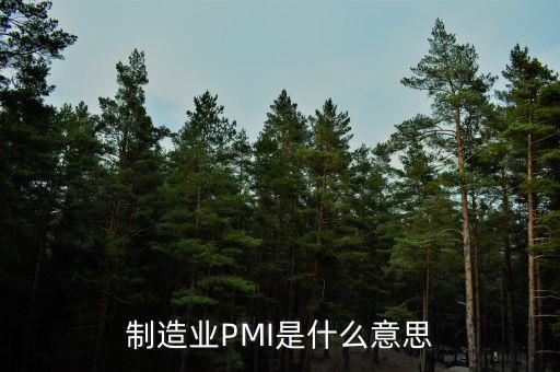 什么是pmi，制造業(yè)PMI是什么意思