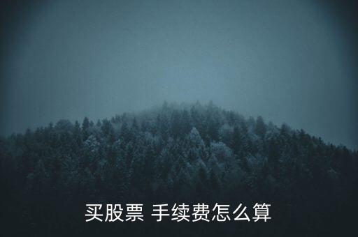 買股票 手續(xù)費怎么算