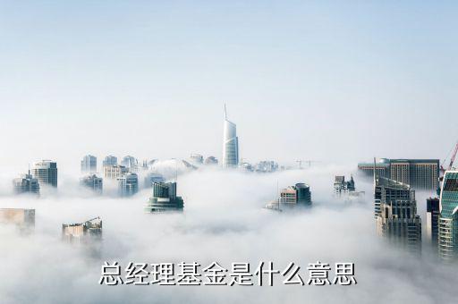 什么是董事長(zhǎng)基金，大成基金會(huì)董事長(zhǎng)是誰(shuí)呀