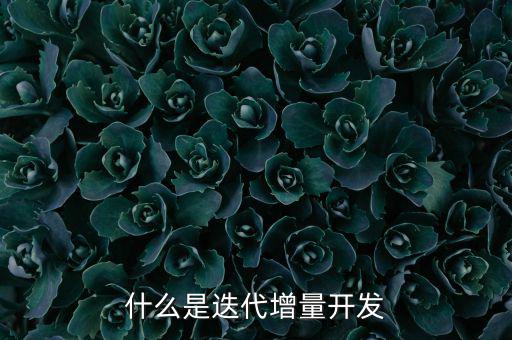 什么是增量發(fā)展，物理意義上的增量是什么意思