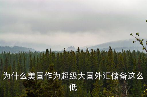 為什么美國作為超級(jí)大國外匯儲(chǔ)備這么低