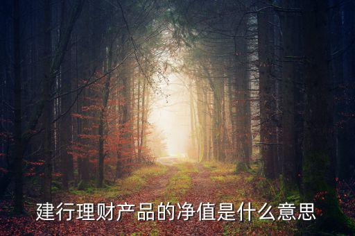 凈值類理財(cái)產(chǎn)品什么意思，什么是凈值型理財(cái)產(chǎn)品