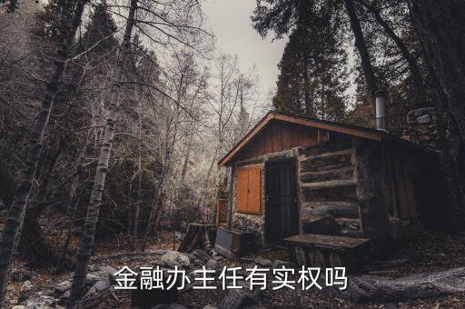 福建省金融辦主任有什么權(quán)利，金融辦主任有實權(quán)嗎