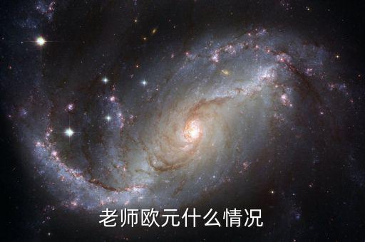 歐元國家是什么意思，老師歐元什么情況