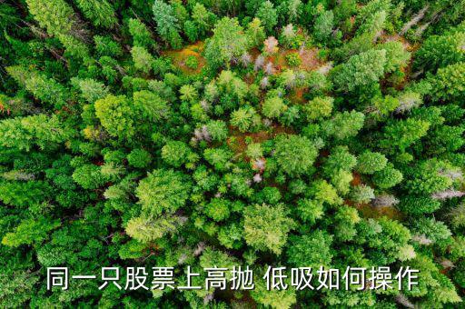 同花順高拋低吸怎么用,如何在紅柱變短時(shí)買(mǎi)入和賣(mài)出股票?