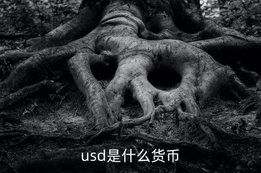 usd什么貨幣，什么是USD